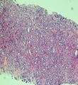 CytologicallyYoursUnknowns201312-4-05.jpg