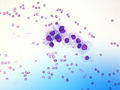 CytologicallyYoursCoW20131118Cytology4.jpg