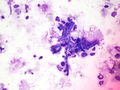 CytologicallyYoursUnknowns201310-6-01.jpg