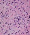 CytologicallyYoursUnknowns201312-5-06.jpg