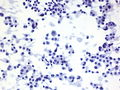 CytologicallyYoursUnknowns201401-02-05.jpg