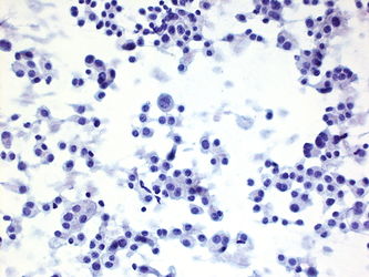 CytologicallyYoursUnknowns201401-02-05.jpg