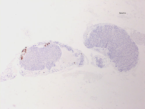 CytologicallyYoursUnknowns201401-04-10.jpg