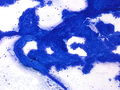 CytologicallyYoursUnknowns201401-05-06.jpg