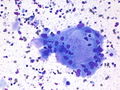 CytologicallyYoursCoW20131125Cytology3.jpg