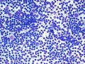 CytologicallyYoursCoW20131202Cytology2.jpg