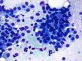 CytologicallyYoursCoW20131209Cytology3.jpg