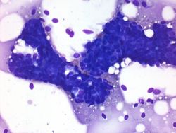 CytologicallyYoursUnknowns201312-3-03.jpg