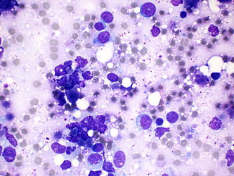 CytologicallyYoursUnknowns201401-04-04.jpg