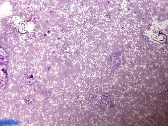 CytologicallyYoursUnknowns201310-7-02.jpg