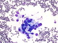 CytologicallyYoursCoW20131118Cytology6.jpg