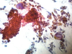 CytologicallyYoursUnknowns201310-1-02.jpg