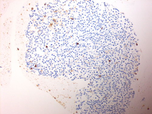 CytologicallyYoursUnknowns201310-3-11.jpg