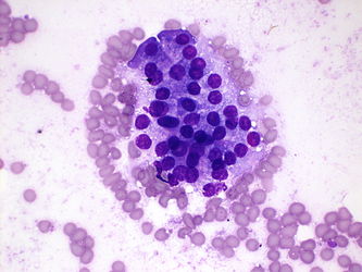 CytologicallyYoursUnknowns201401-03-05.jpg