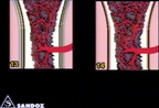 00203301