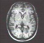 00205466