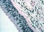 00246201